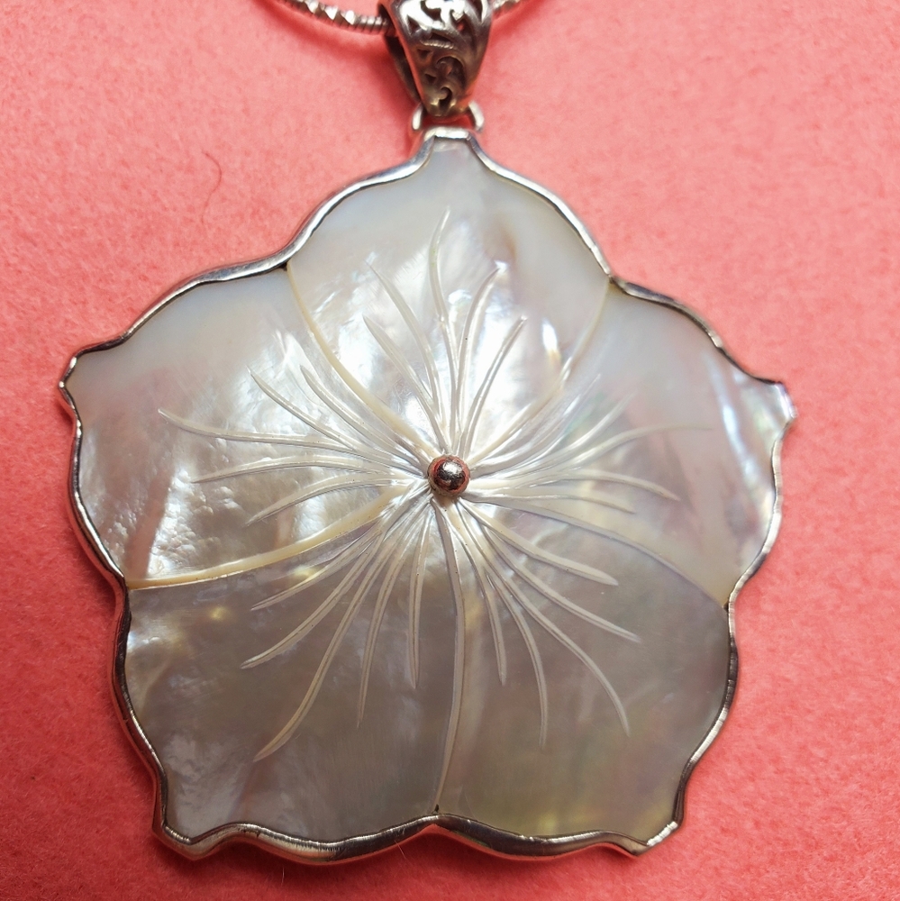 Beautiful necklace set in sterling silver